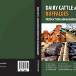 book dairy cattle cover