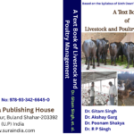 My Book Cover