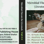 My Book Cover (6)