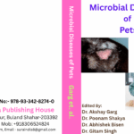 My Book Cover (6)